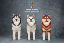 Mr.Z 1:6 Scale Alaskan Malamute Dog Pet Healing Figure Animal Model Toy Collector Desktop Decoration Adult Gift 2024 - buy cheap