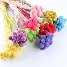 Natural Botton DIY Dried Flower Party Home Decoration Accessories Wedding Decor Colorful Handicraft Flores Real Plants Sunflower 2024 - buy cheap