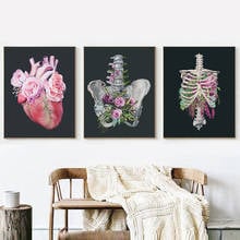 Pôsteres abstratos de corpo humano e impressões anatômicas, pintura em tela, fotos de parede médica para sala de estar, decoração de casa sem moldura 2024 - compre barato