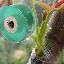 3cm Nursery Grafting Tape Self-adhesive Plants Repair Tapes Plant Repair Roll Tape Graft Barrier Parafilm Pruning Budding Fruit 2024 - buy cheap