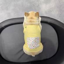 Francês bulldog cão de estimação vestido de verão saia colete roupas para pequenos cães médio filhote de cachorro chihuahua corgi schnauzer pug fyc02 2024 - compre barato