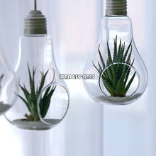 New Fashion Flower Hanging Vase Glass Planter Plant Terrarium Container Home Wedding Decor 2024 - buy cheap