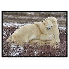 5d full drill diamond painting Polar bear couple diamond painting Male baby peeing photo Home Decoration DIY Diamond embroidery 2024 - buy cheap