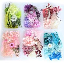 1 Box Real Mix Dried Flowers for Resin Jewellery Dry Plants Pressed Flower 2024 - buy cheap
