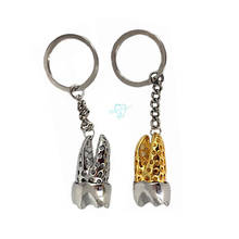 2pcs Teeth Keychain Dentist Decoration Key Chains  Tooth Model Shape For Dental Clinic Small Gift 2024 - buy cheap