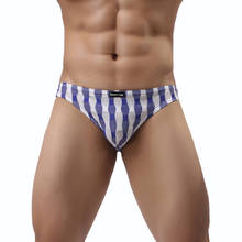 Men Briefs sexy Underwear transparent mesh Underpants sleepwear gay Penis pouch panties men shorts 2024 - buy cheap