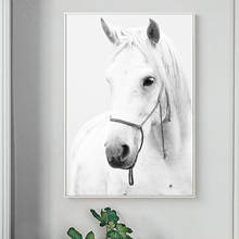 Póster moderno de caballo blanco para decoración del hogar, pintura en lienzo de animales nórdicos, impresiones de imágenes para sala de estar 2024 - compra barato