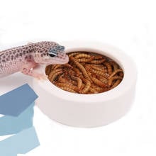 Cuenco de comida antiescape para reptiles, comedero de cerámica para evitar que se escape, para pan, gusano, Barley, lagarto, serpiente 2024 - compra barato