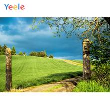 Pano de fundo fotográfico personalizado para estúdio de foto, paisagem, fazenda, pastoral, grama verde, fotografia, teclas cromadas 2024 - compre barato