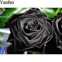 Алмазная 5D картина, черная роза, цветок, полный квадрат, круглая буровая мозаика для творчества, наборы для вышивки, стразы, домашний декор, Новинка 2024 - купить недорого