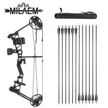 Archery Compound Bow WIth Arrow and Quiver 14-40lbs Children Bow for New Beginner IBO 220FPS 65% Left-off Hunting Accessories 2024 - buy cheap