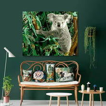 Ленивец коала енот животное крыса австралийская краска по номерам художественная живопись по номерам красная танцор декоративные картины 2024 - купить недорого