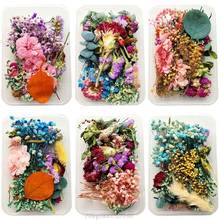 1Box Crystal Epoxy Filler Dry Flower Mixed Nail Stickers Decorations Resin Filling Material Jewelry Making Au11 20 Dropship 2024 - buy cheap