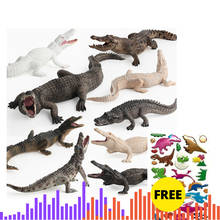 Оригинальные гигантские крокодиловые настоящие дикие рептилии крокодил фигурки животных Коллекция Развивающие игрушки для детей подарок 2024 - купить недорого