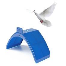 Soporte para pájaros, accesorios para palomas, soporte para loros, marco de soporte, percha, suministros para palomas 2024 - compra barato