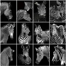 Round Diamond Embroidery Zebra 5D DIY Diamond Painting Full Square Drill Black White Animal Cross Stitch Kit Home Decoration 2024 - buy cheap