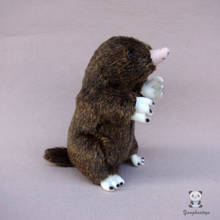 Real Life Plush Mole Toy Children Birthday Gifts soft Dolls stuffed Toys Rare 2024 - buy cheap