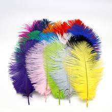 10 PCS Dyed Elegant Ostrich Plumes 15-20CM Natural Feathers for DIY Handwork Wedding Party Decor Accessories 2024 - buy cheap