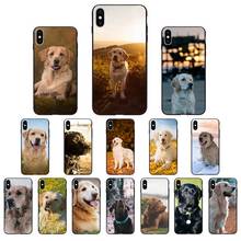 MaiYaCa Anime Labrador Dog Phone Case for iphone 13 11 pro XS MAX 8 7 6 6S Plus X 5 5S SE XR SE2020 2024 - buy cheap