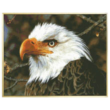 Kit de pintura de tela para bordado, estampa de animais águia em ponto cruz, conjuntos 11ct 14ct, artesanato diy, decoração de casa, artesanato 2024 - compre barato