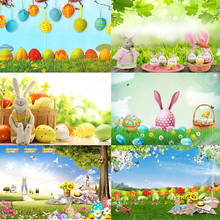 SeekPro-fondo fotográfico de vinilo para niños, telón de fondo de primavera, Pascua, conejo, pradera, flores, huevos de Color, conejo, Banner para estudio de fotografía 2024 - compra barato