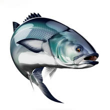 Pegatinas de pesca de peces azules realistas para coche, calcomanías 3d para coche, motocicleta, accesorios de calcomanía para coche 2024 - compra barato