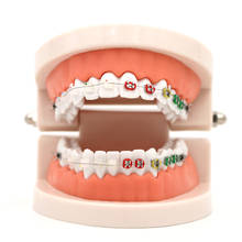 2pcs Dental Teaching Teeth Model Ceramic Bracket Metal Arch Wire Study Teeth Model Buccal Tube Ligature Ties Dental Tools 2024 - buy cheap