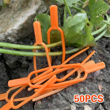 Herramientas de jardín, Clips de plástico de calidad para plantas, fijación de Stolons, abrazadera de fijación, horquilla de fresa, Clip de Agricultura, 50 Uds. 2024 - compra barato