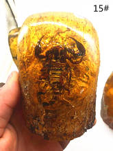 Amber beeswax stone insect Po ornaments really scorpion specimens crafts sitting room ornaments wholesale 2024 - buy cheap