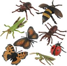Juguete de insectos, 8-10 unids/set/Set figuras de animales salvajes del mundo, modelo de figuras de insectos, conjunto de modelos de insectos para niños, Juguetes De ciencia biológica, regalo 2024 - compra barato