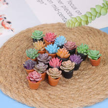 5pcs 1:12 Dollhouse Miniature Mini Potted Succulent Plant Model Accessories 2024 - buy cheap