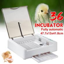 36 Egg Hatchery Incubator Farm Brooder Machine Electronic Automatic Incubator Tools for Chicken Duck Egg Bird Quail Brooder 2024 - buy cheap
