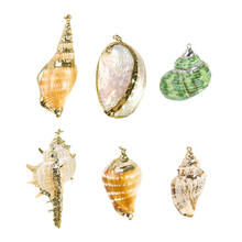 Ornamentos concha natural concha concha concha para colar, pingente conchas diy para jóias acessórios 2024 - compre barato
