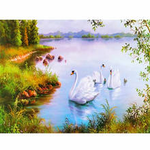 5d pintura diamante bela cisne diamante mosaico de strass imagem diamante bordado paisagem decoração para casa by76 2024 - compre barato