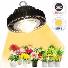 Luces LED COB CXB3590 para cultivo, CXM32 LUMINUS, Samsung LM301B, 100W, 300W, para crecimiento de plantas de interior, flores, tienda de cultivo hidropónico 2024 - compra barato