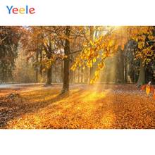 Yeele Autumn Backdrop Forest Yellow Tree Leaves Natural Scenery Newborn Baby Photography  Background Custom For Photo Studio 2024 - buy cheap