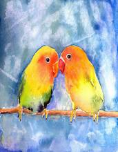 JMINE Div 5D Colorful Bird Love kiss Full Diamond Painting cross stitch kits art High Quality Animal 3D paint by diamonds 2024 - buy cheap