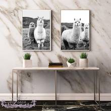 Black White Alpaca Poster Wall Art Print Animal Canvas Painting for Nursery Kids Room Llama Picture Nordic Modern Home Decor 2024 - buy cheap