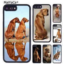 MaiYaCa Rhodesian Ridgeback Dog Phone Case For iPhone X XR XS 11 12 13 Pro MAX 5 6 6S 7 8 Plus Samsung Galaxy S6 S7 S8 S9 S10 2024 - buy cheap