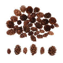 50 Pieces Assorted Size Natural Decorative Pine Cones Pinecone Dried Flowers for Christmas Ornament Home Garden Decoration 2024 - buy cheap
