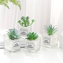 DIY Mini Succulents Simulation Bonsai Ornaments Glass Bottle Green Plants Desktop Potted Plants Living Room Office Decoration 2024 - buy cheap