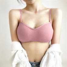 Solid Color Elastic Pad Tube Top No Steel Ring Simple Anti-light Beauty Back Thread Wrapped Chest Beauty Back Bra Hot New 2024 - buy cheap