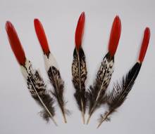 Penas de cobre natural para rabo de faisão, 50 und., 10-15cm, comprimento de 10-15cm, decoração de roupas, artesanato diy 2024 - compre barato