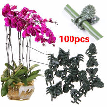 50/100Pcs Plastic Plant Support Clips Orchid Stem Clip For Vine Support Vegetable Flower Tied Bundle Branch Clamping Garden Tool 2024 - buy cheap