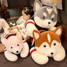 80-130cm grande tamanho husky shiba inu brinquedo de pelúcia recheado animal cão macio dormir travesseiro adorável presente para crianças meninas kawaii presente 2024 - compre barato