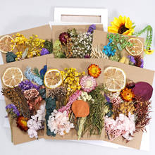 1 Box Mix Beautiful Real Dried Flowers Natural Floral for Art Craft Scrapbooking Resin Jewelry Craft Making Epoxy Mold Filling 2024 - buy cheap