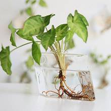 Adeeing настенная стеклянная ваза для гидропонных растений, украшение дома, офиса, подарок 2024 - купить недорого