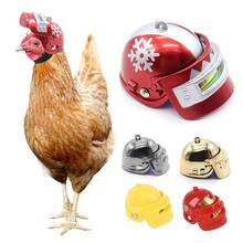 Casco de pollo para mascotas pequeñas, divertido casco de protección para aves, suministros para mascotas 2024 - compra barato