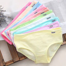 10Pcs Girls's Cotton Blend Panties Briefs Lingerie Shorts For Women Ladies Girls 2024 - buy cheap