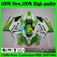 Carenado RSV1000R para Aprilia RSV1000 R Mille 03 04 05 06 55BS.0 RSV1000RR RSV 1000 R RR 1000R 2003 2004 2005 2006, color verde y blanco 2024 - compra barato